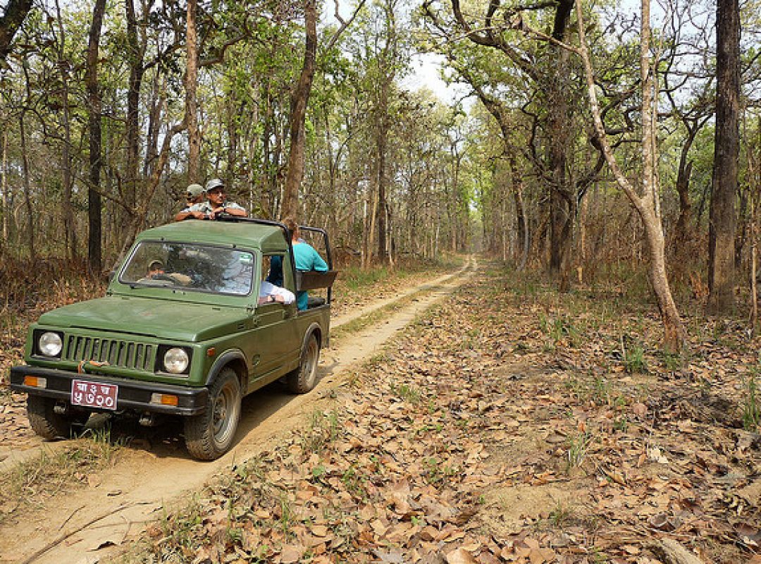 jeep_safari_chitwan